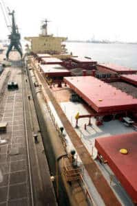 schelde-natie-1